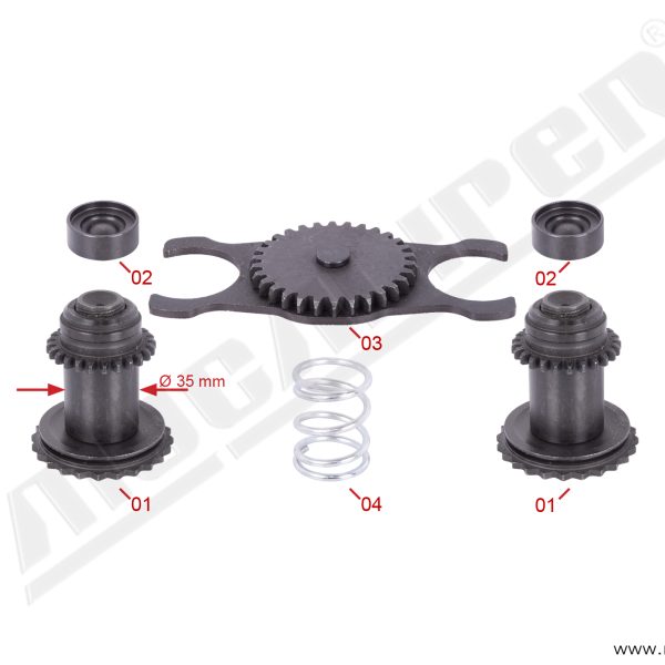 Autoreglaj Dr Elsa 1